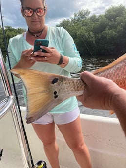 Gag Grouper fishing in St. Petersburg, Florida