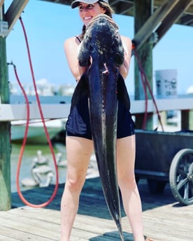 Cobia fishing in Gulf Shores, Alabama