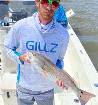 Redfish fishing in Beaufort, North Carolina