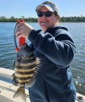 Sheepshead Fishing in Mount Pleasant, South Carolina