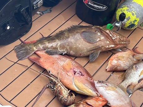 Fishing in Marathon, Florida