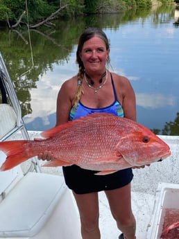 Red Snapper Fishing in Gulf Shores, Alabama