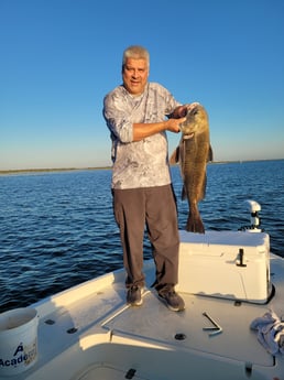 Black Drum fishing in New Orleans, Louisiana