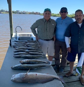 Redfish, Speckled Trout / Spotted Seatrout fishing in Freeport, Texas