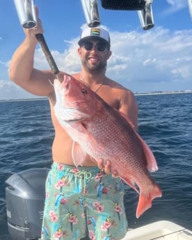 Red Snapper Fishing in Destin, Florida