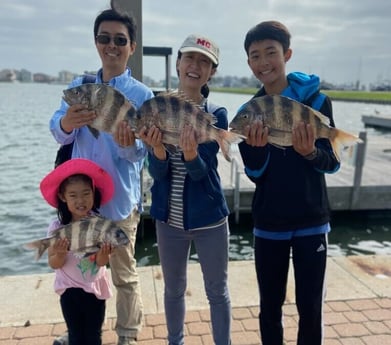 Sheepshead fishing in Galveston, Texas