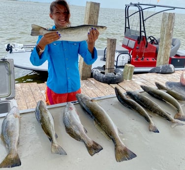 Speckled Trout / Spotted Seatrout, Hardhead Catfish fishing in Galveston, Texas