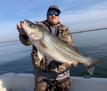 Hybrid Striped Bass fishing in Whitney, Texas