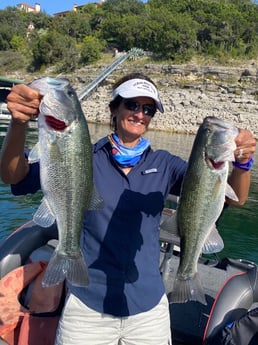 Largemouth Bass fishing in Austin, Texas