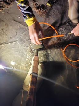 Flounder Fishing in Rio Hondo, Texas