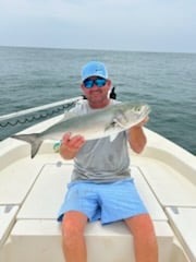 Bluefish Fishing in Beaufort, North Carolina