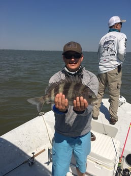 Sheepshead fishing in Texas City, Texas