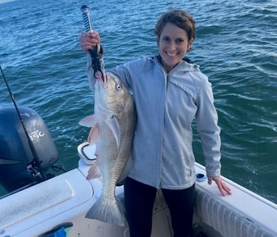 Black Drum Fishing in Galveston, Texas