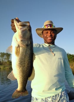 Largemouth Bass fishing in Austin, Texas