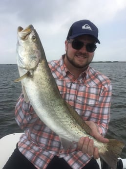 Speckled Trout / Spotted Seatrout fishing in South Padre Island, Texas