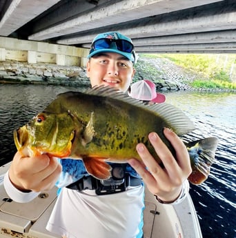 Peacock Bass Fishing in Delray Beach, Florida