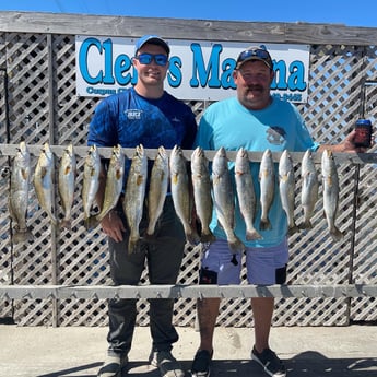 Speckled Trout / Spotted Seatrout fishing in Corpus Christi, Texas