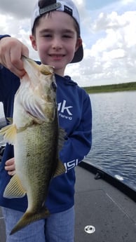 Largemouth Bass fishing in Fort Lauderdale, Florida