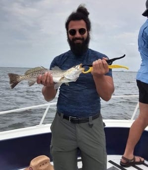 Speckled Trout / Spotted Seatrout fishing in St. Petersburg, Florida