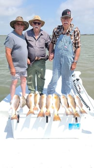 Black Drum, Redfish fishing in Port O&#039;Connor, Texas