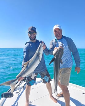 Cobia Fishing in Key West, Florida