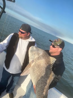 Black Drum fishing in Galveston, Texas