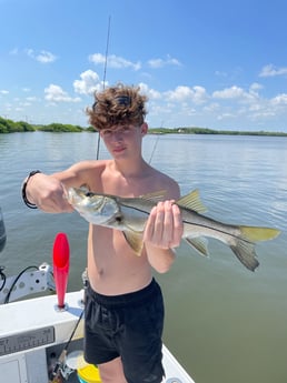 Snook fishing in Tampa, Florida