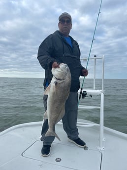 Black Drum Fishing in South Padre Island, Texas