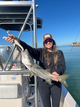 Fishing in Sarasota, Florida