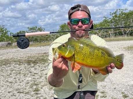 Fishing in Miami, Florida