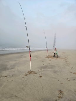 Fishing in Stone Harbor, New Jersey