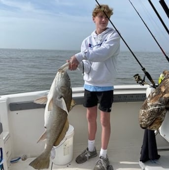 Black Drum fishing in Galveston, Texas