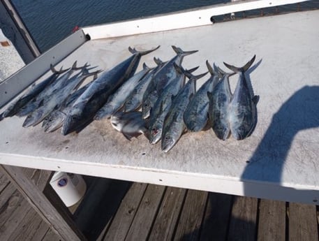 Fishing in Gulf Shores, Alabama