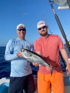 Barracuda fishing in Miami Beach, Florida