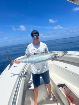 King Mackerel / Kingfish fishing in Freeport, Texas