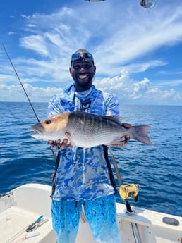 Mangrove Snapper Fishing in Key Largo, Florida