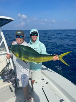 Mahi Mahi Fishing in Key West, Florida