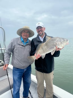 Black Drum Fishing in South Padre Island, Texas