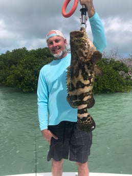 Goliath Grouper fishing in Key West, Florida