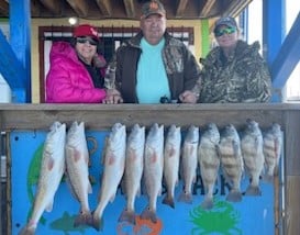 Black Drum, Redfish Fishing in Port Aransas, Texas