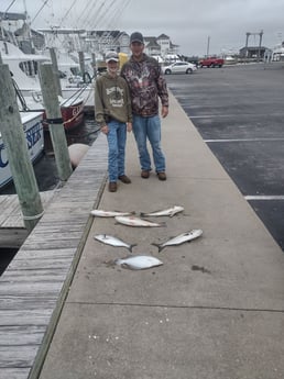 Bluefish, Flounder, Redfish Fishing in Frisco, North Carolina