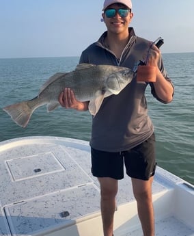 Speckled Trout / Spotted Seatrout fishing in Port Isabel, Texas