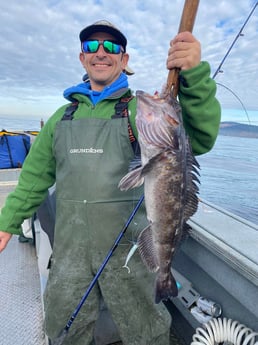 Lingcod Fishing in Hubbard, Oregon