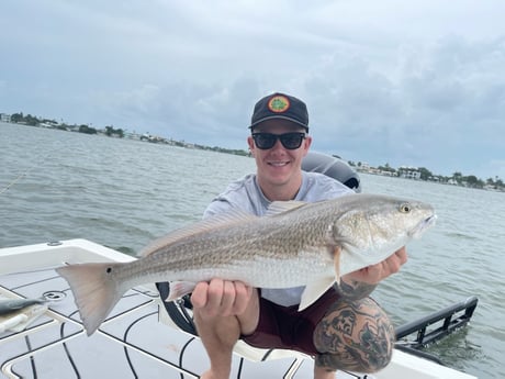 Redfish fishing in Clearwater, Florida