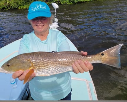 Fishing in Naples, Florida