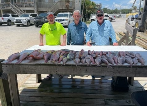 Red Snapper, Scup, Vermillion Snapper Fishing in Pensacola, Florida