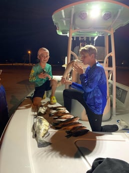 Black Drum, Bonnethead Shark, Mangrove Snapper Fishing in Galveston, Texas