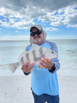 Fishing in Sarasota, Florida