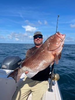 Red Grouper fishing in Clearwater, Florida