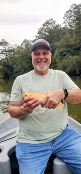 Golden Trout Fishing in Broken Bow, Oklahoma